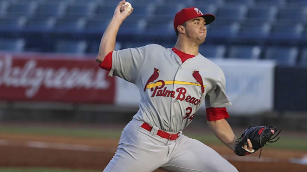 Prospect on the Rise: Harrison Bader, OF, St. Louis Cardinals - Minor  League Ball