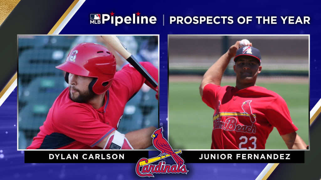 St. Louis Cardinals promote top prospect Dylan Carlson to MLB