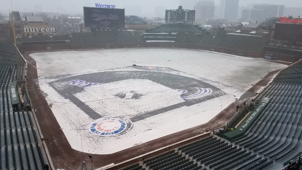 Get A Baseball Bats Filled With Beer At Wrigley Field Home Games