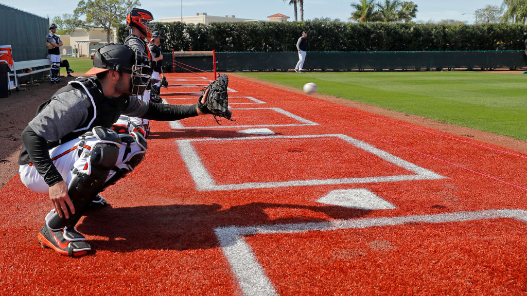 Full squad workout at Twins spring training