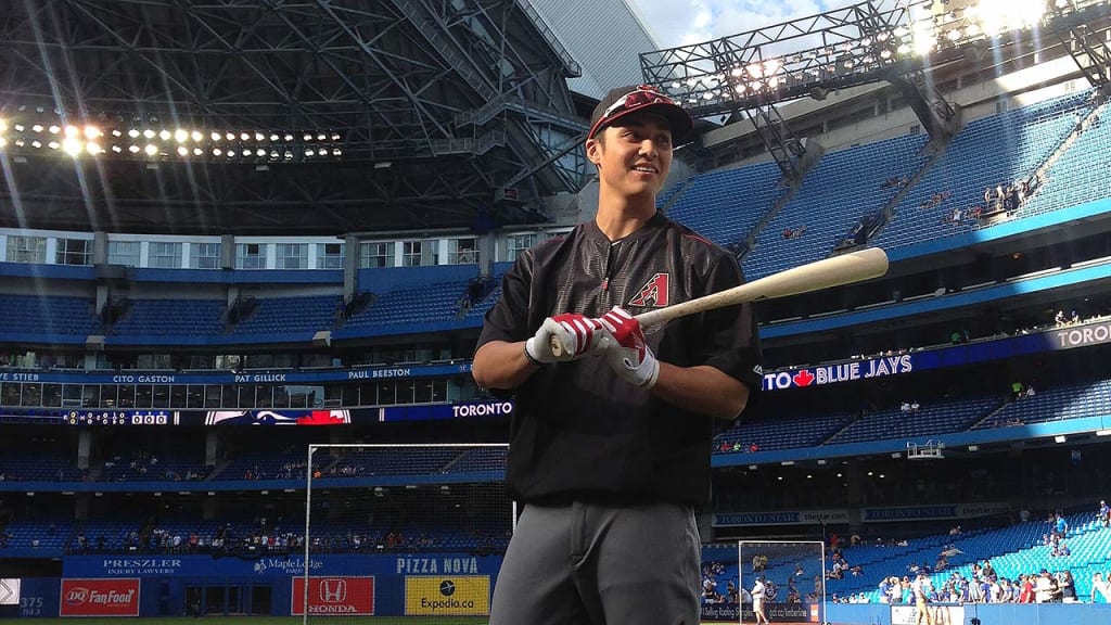 "[Andy Yerzy] hung out with the club, took BP, looked great," Chip Hale said. (Casey Wilcox/D-backs)