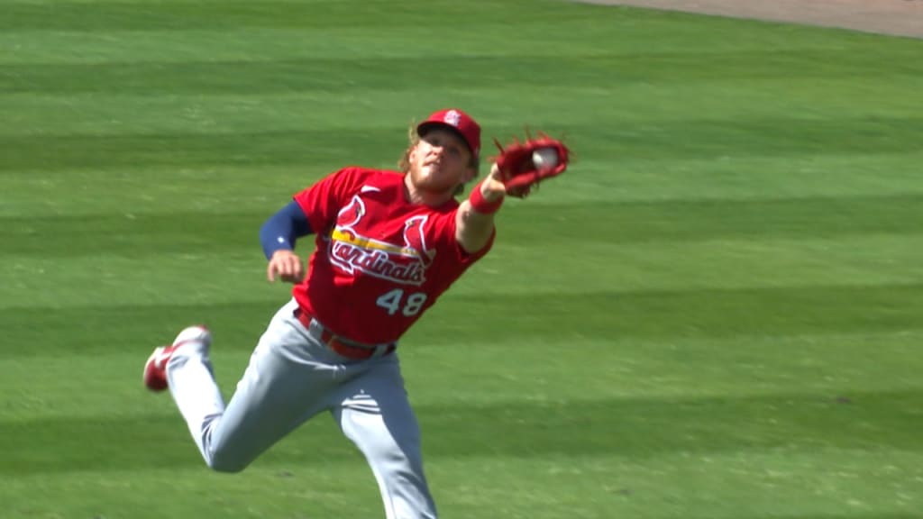 MLB has named Harrison Bader the - Cardinals Nation 24/7
