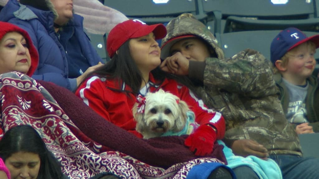 Texas Rangers - Bark at the Park, aka the best night at