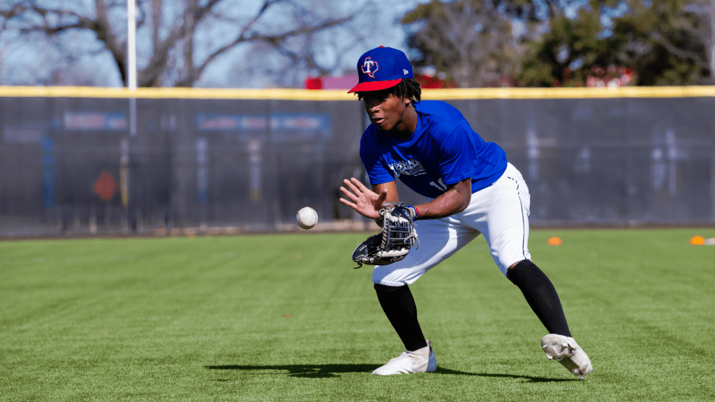 USA Baseball South NTIS