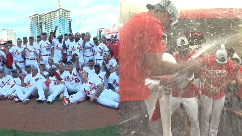 St Louis Cardinals 2019 Nl Central Division Champions Signatures