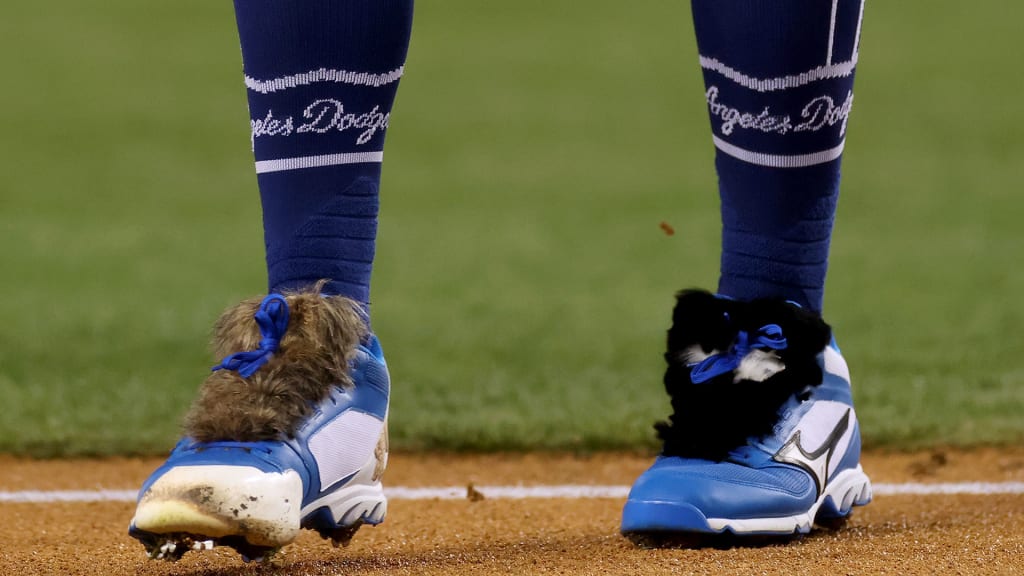 Dodgers have fun with Gavin Lux tape outline, Tony Gonsolin's cat