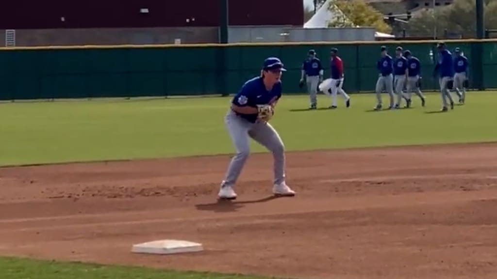 Top Prospects: James Triantos