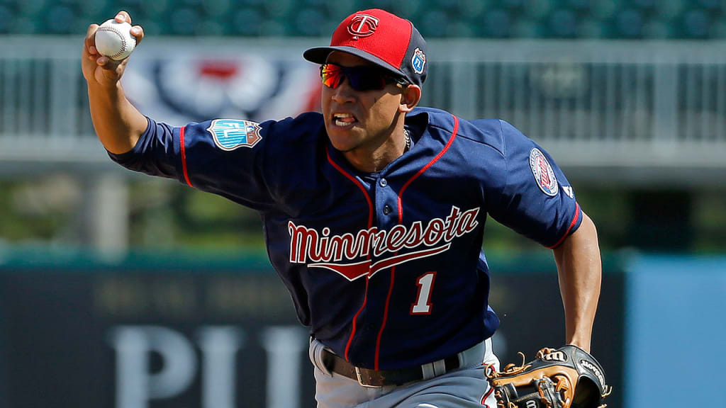 Engelb Vielma was designated for assignment by the Twins on Tuesday and claimed off waivers by the Giants on Thursday. (AP)