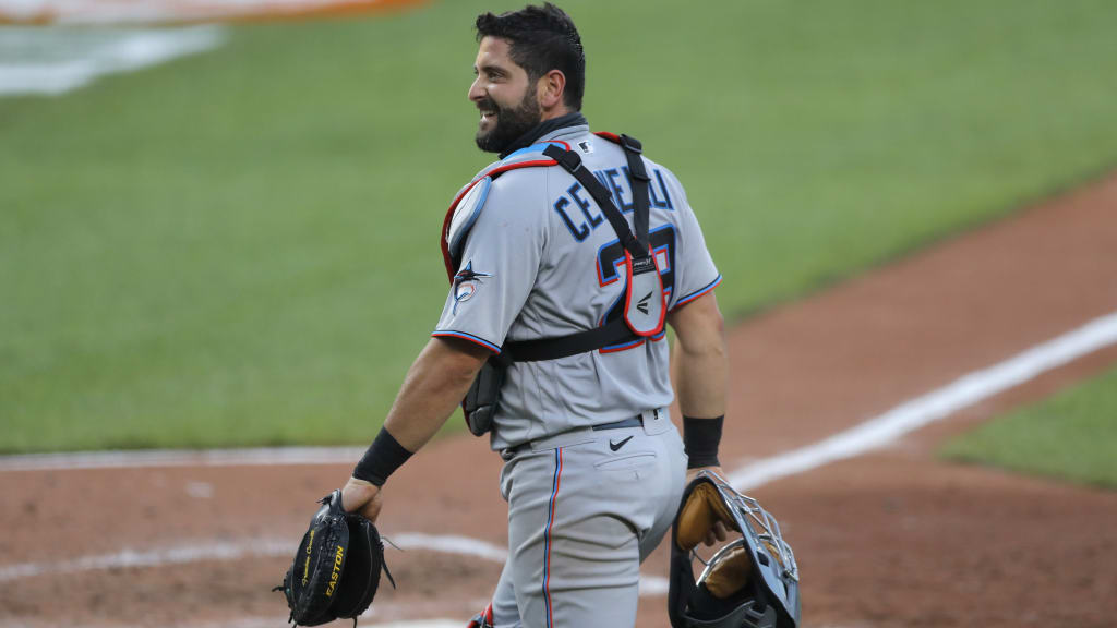 New York Yankees Francisco Cervelli behind home plate