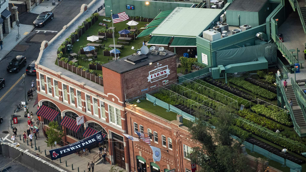 Photograph of Fenway Park 