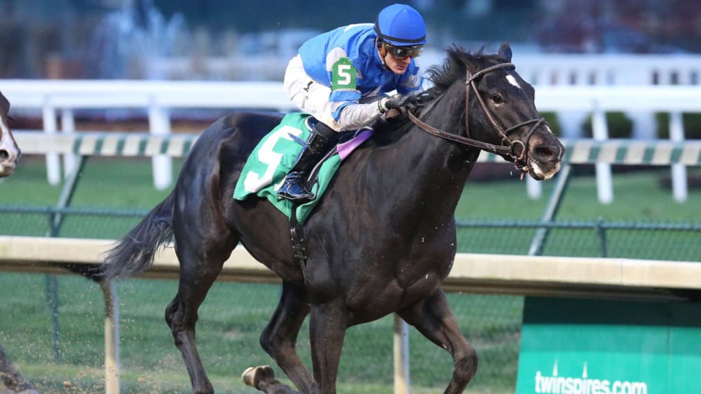 Bryzzo pulled ahead of the pack to win Nov. 17 at Churchill Downs. (Photo courtesy of Albaugh Family Stable)