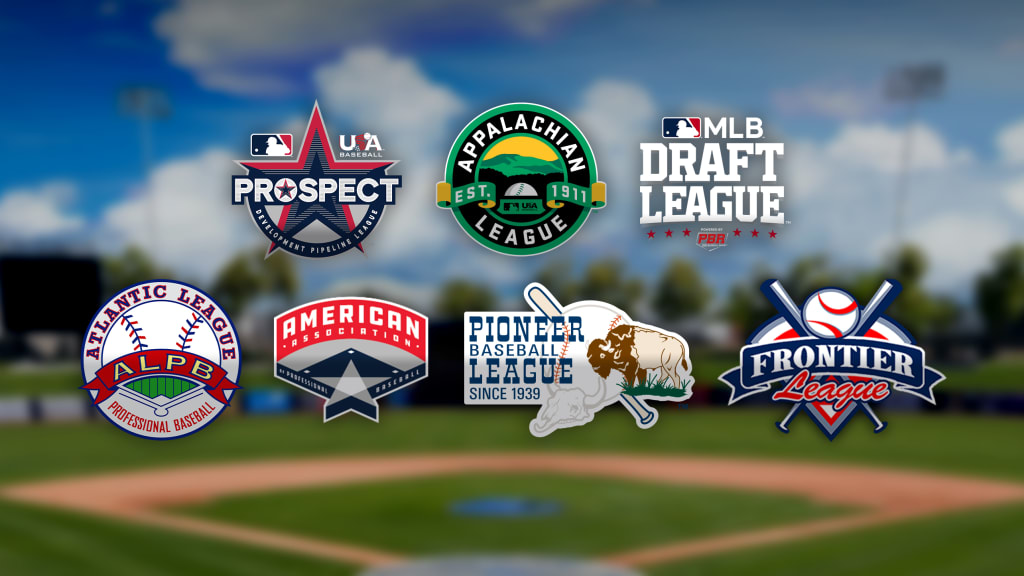 The American professional baseball organization, Major League