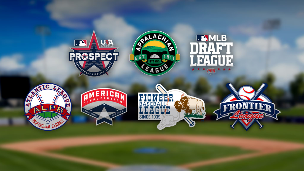 league baseball teams