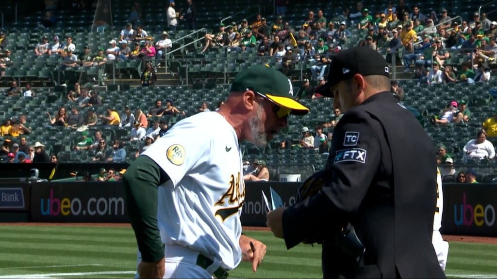 Tampa Bay Rays manager stands by dramatic ejection: I said I didn't give a  sh*t what half the crew said