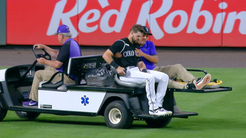 Dahl carted off with ankle injury