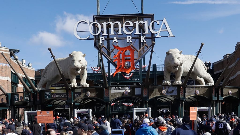 Detroit Tigers extend safety netting at Comerica Park to dugouts - Bless  You Boys