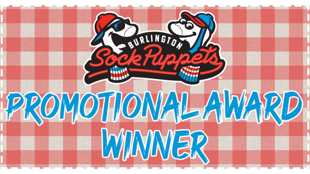 New MiLB team Burlington Sock Puppets announced their new Mascots name,  SOCKSQUATCH! : r/baseball