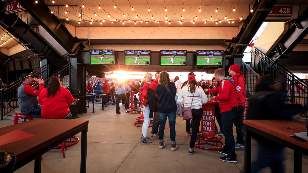 Budweiser Terrace Photo Gallery