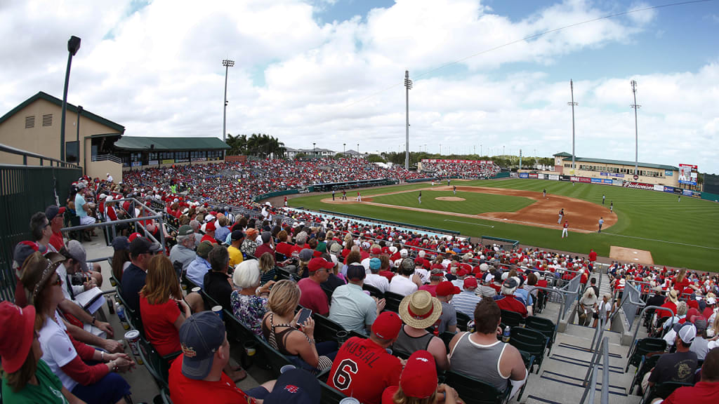 st louis cardinals spring training gear