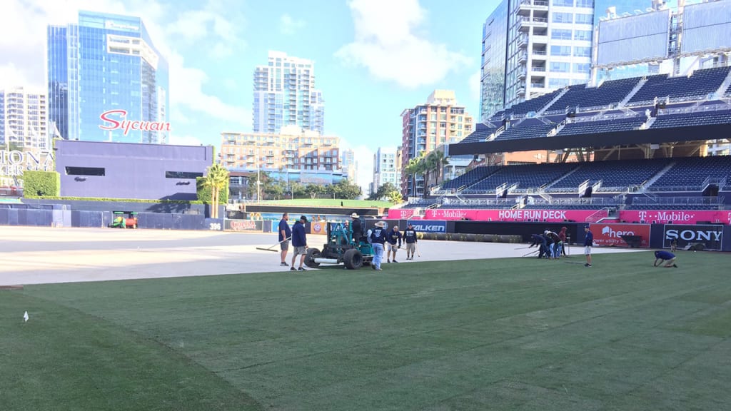 Padres grounds-crew members are laying sod, as scheduled, at Petco Park this week. (Petco Park Twitter account)