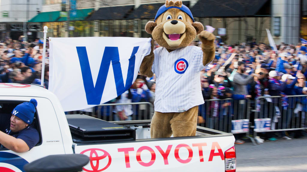 Cubs' Mascot Clark The Cub Ranked Top MLB Mascot - CBS Chicago