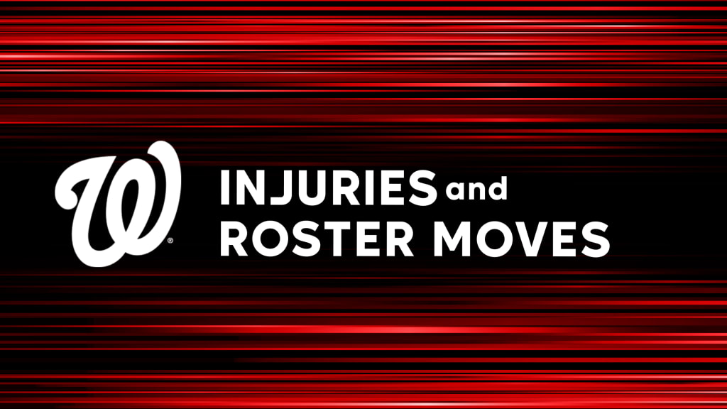 Nationals injuries and roster moves