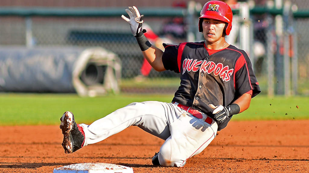 Marlins catching prospect Brad Haynal will play for the Philippines during the World Baseball Classic qualifying round from Feb. 11-14. (Getty)