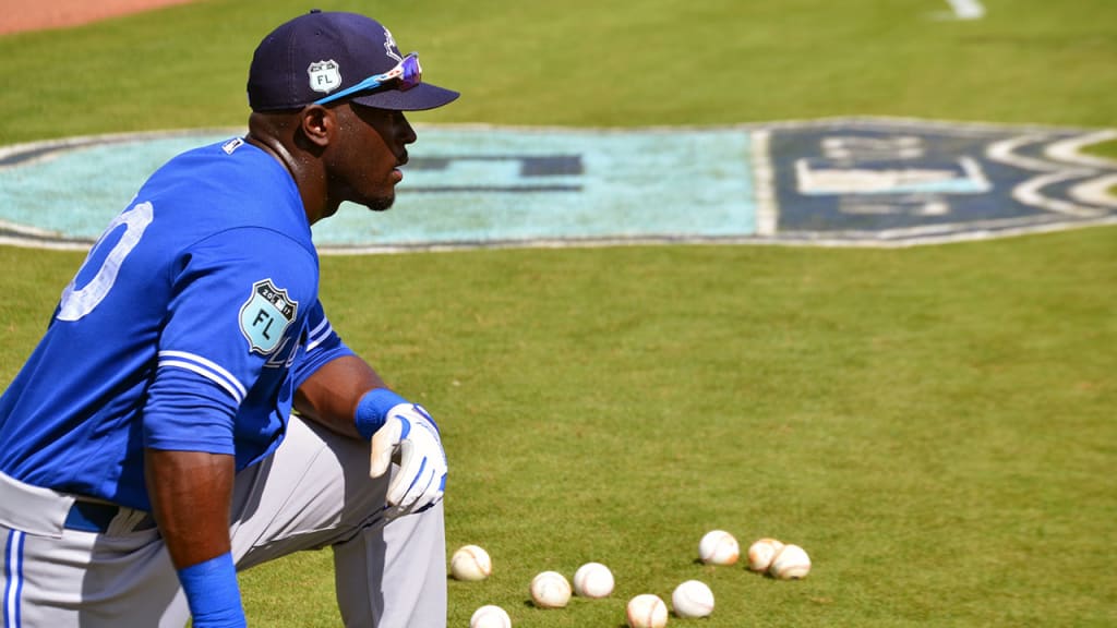 Blue Jays outfielder Anthony Alford dealt with injuries and personal tragedy in 2016. (J. Scott Butherus)