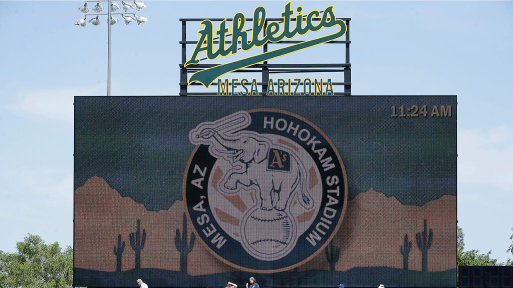 Fans sit in the outfield lawn at Hohokam Stadium before a Spring Training game. (AP)