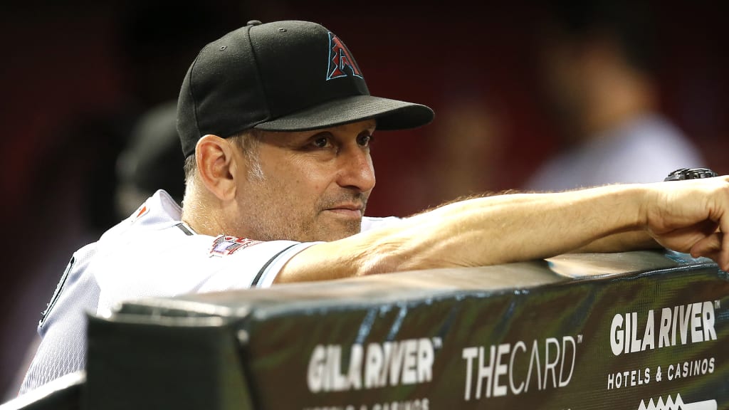 Arizona Diamondbacks manager Torey Lovullo (17) in the first inning during a baseball game against the Philadelphia Phillies, Tuesday, Aug. 7, 2018, in Phoenix. (AP Photo/Rick Scuteri)