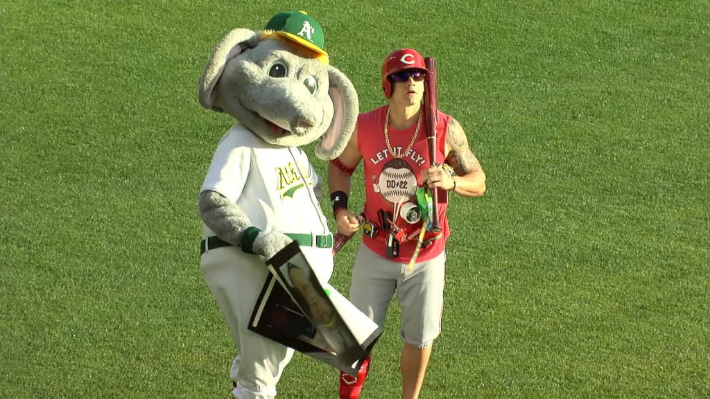 Derek Dietrich 'helps' during bee delay 