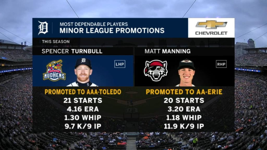 Tigers' Minor League promotions