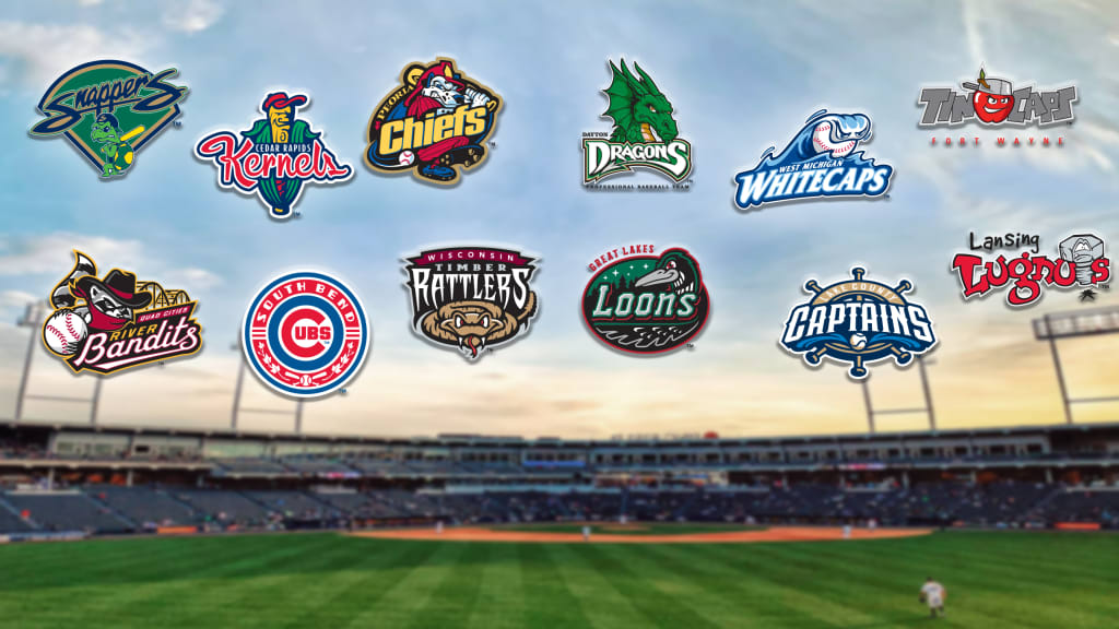 2019-20 Minor League Baseball rebranding roundup