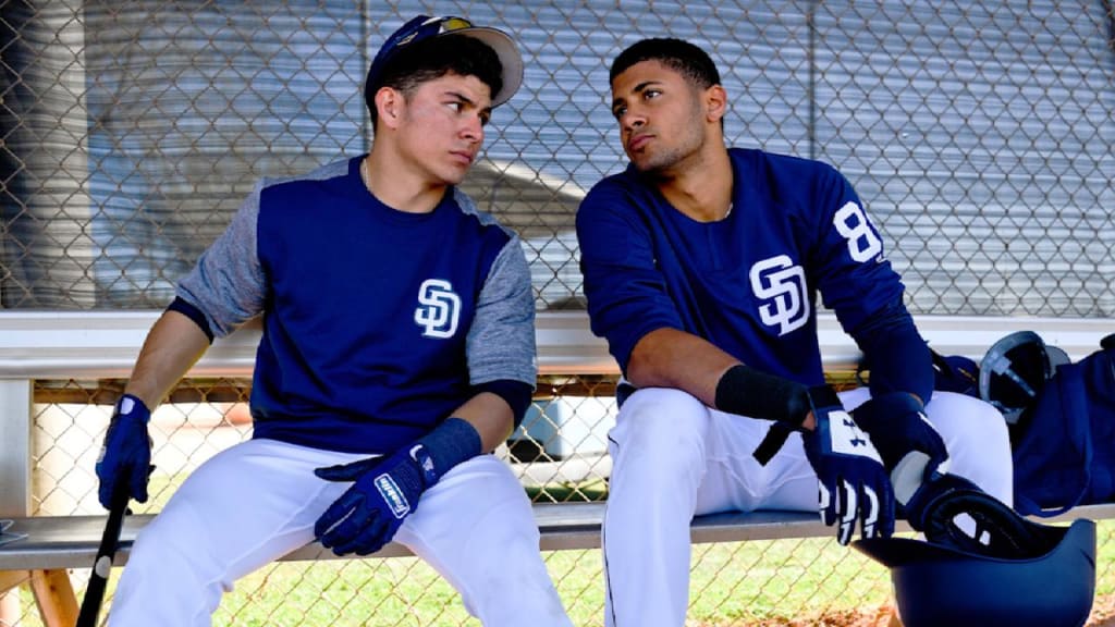 San Diego Padres Have Enough Talent to Compete in 2018