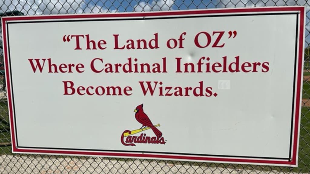 Credit: John Denton/MLB.com