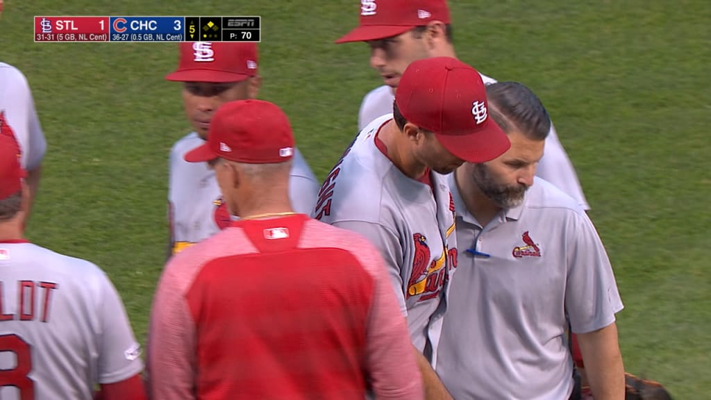 Wainwright exits with injury