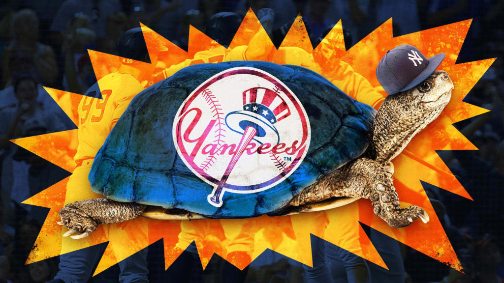 Yankees undefeated since Bronxie the Turtle joined the team