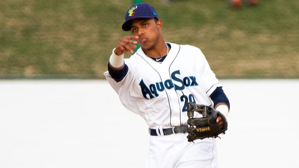 Erick Mejia was 20-for-21 in stolen-base attempts last season. (MiLB.com)