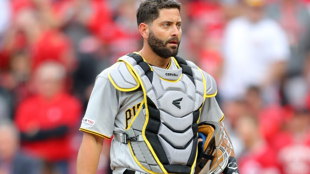 New York Yankees Francisco Cervelli behind home plate