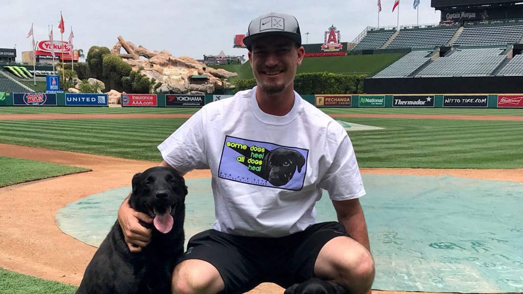 PHOTOS: Facility dogs show Astros spirit at Children's Memorial