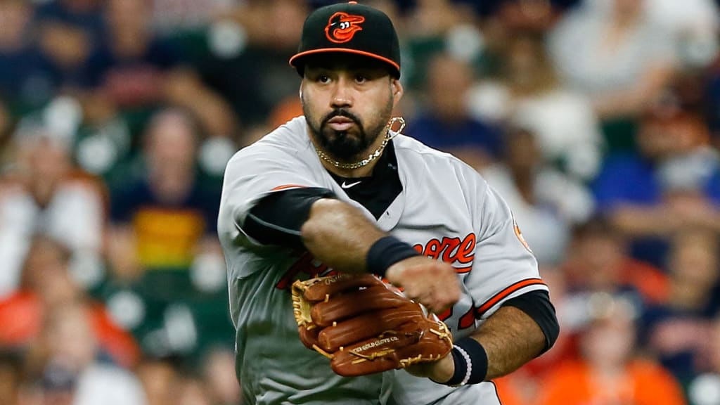 "He knows it could mean a lot to him and his career," said Buck Showalter of Pedro Alvarez learning right field. (AP)