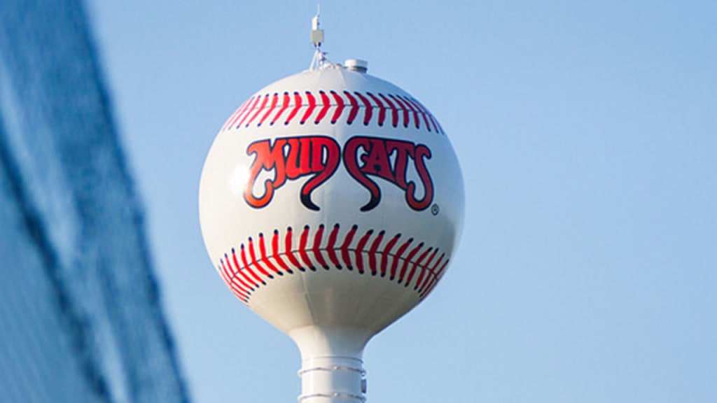 The Brewers affiliated with the Zebulon, N.C.-based Mudcats in September, and they are now looking to buy the Minors club.