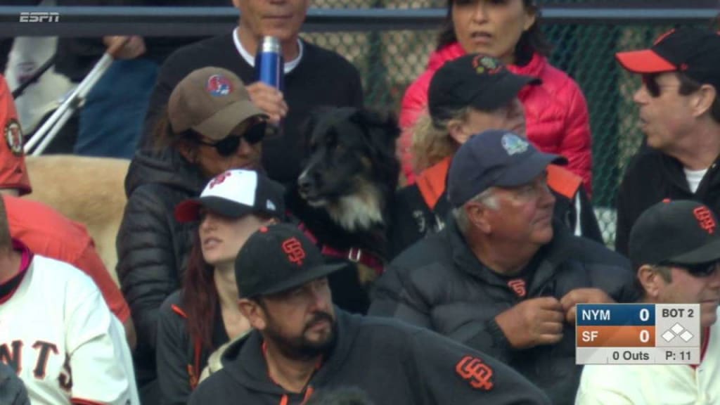 The Giants celebrated LEGO Day with a life-sized LEGO Madison Bumgarner  statue