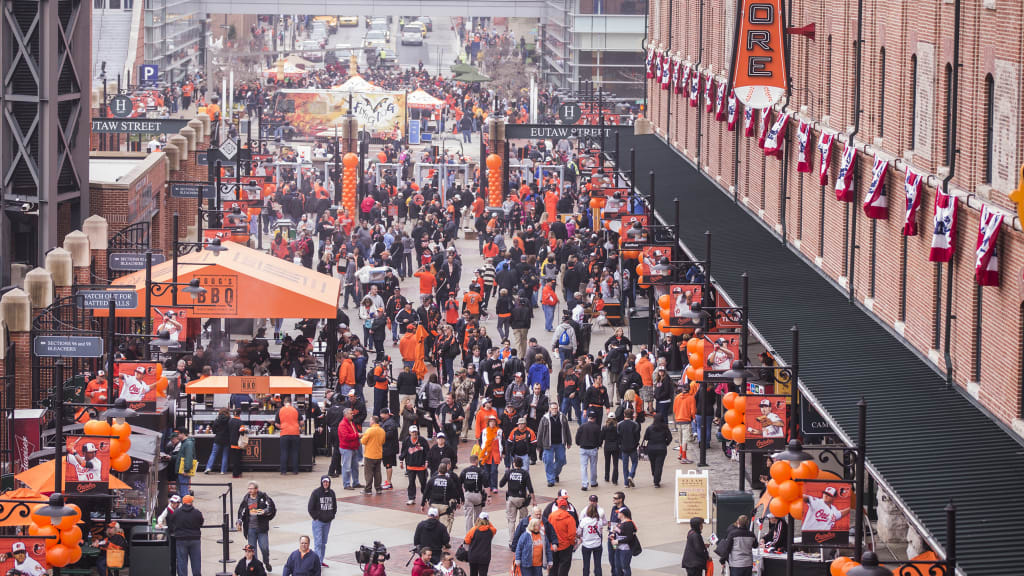 Council of Ravens Roosts Baltimore Orioles Game, Oriole Park at