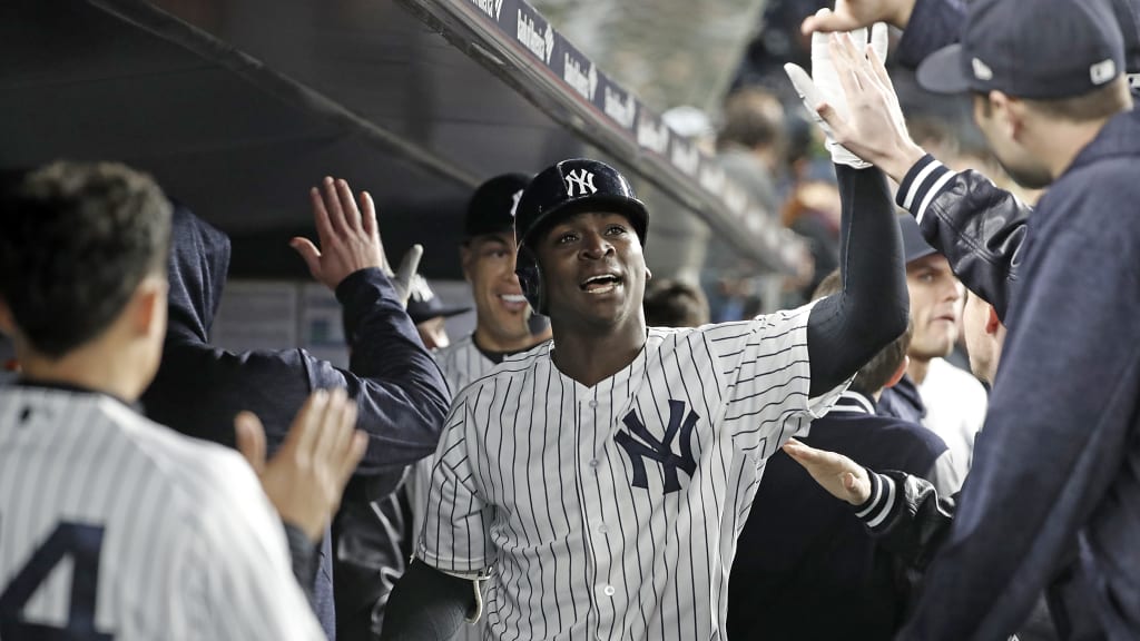 Didi Gregorius: Will the Bat Match the Glove? - Minor League Ball