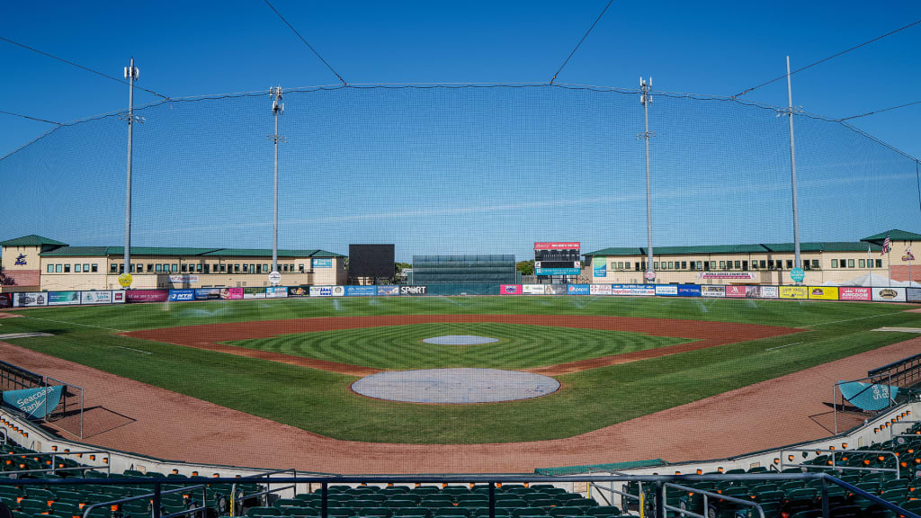 Miami Marlins MLB Spring Training