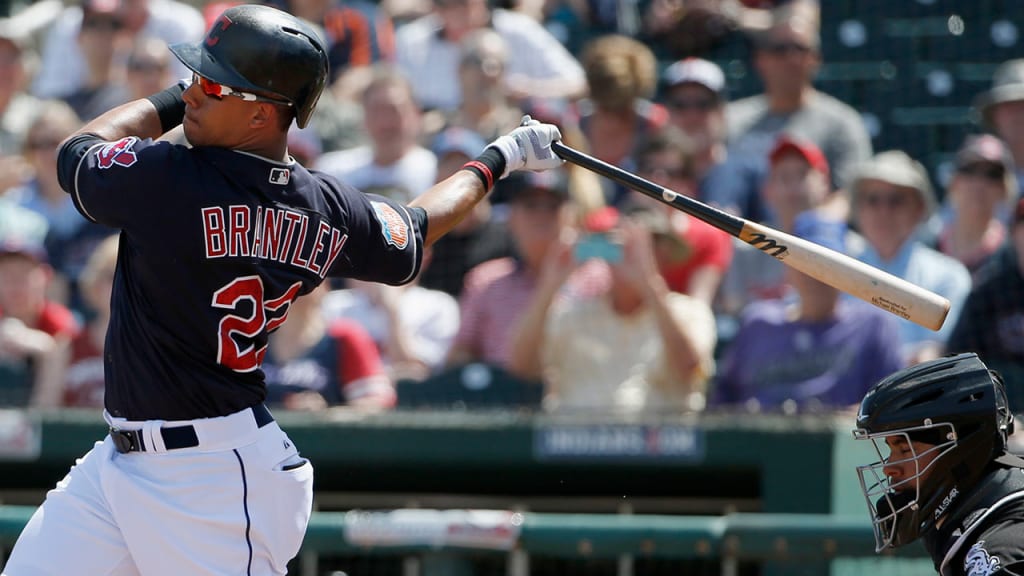 Outfielder Michael Brantley underwent shoulder surgery last November. (AP)