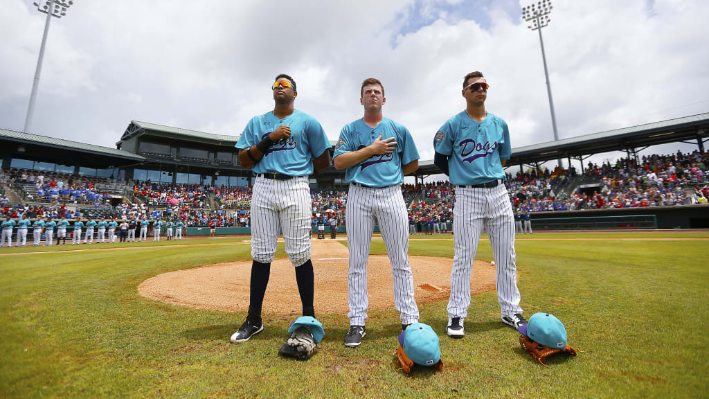 MiLB Baseball: Charleston RiverDogs Media Day