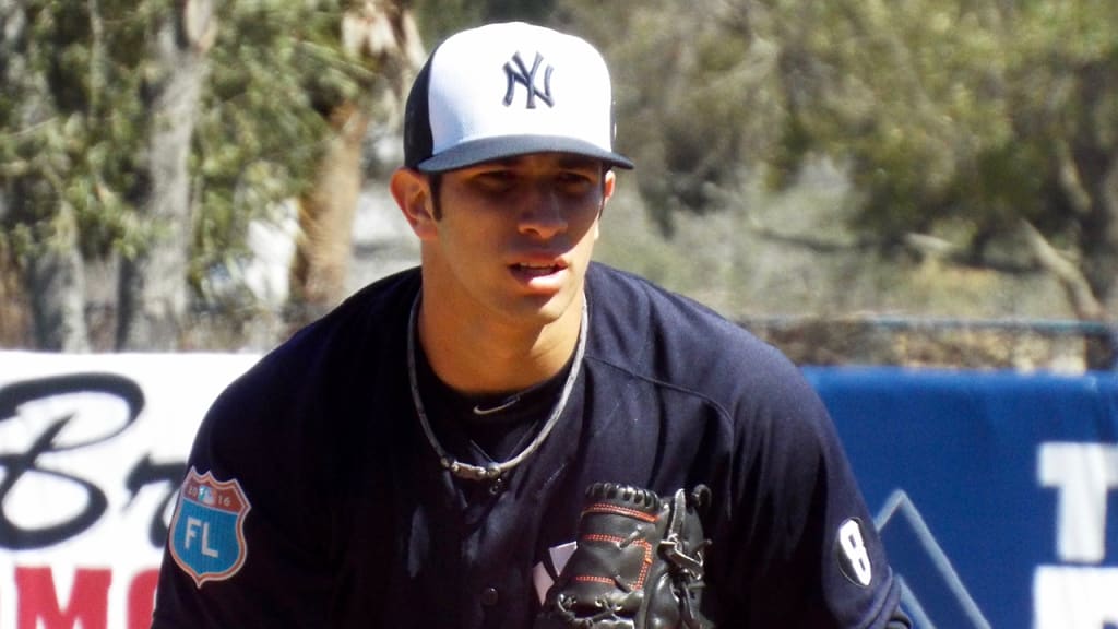 Luis Cessa