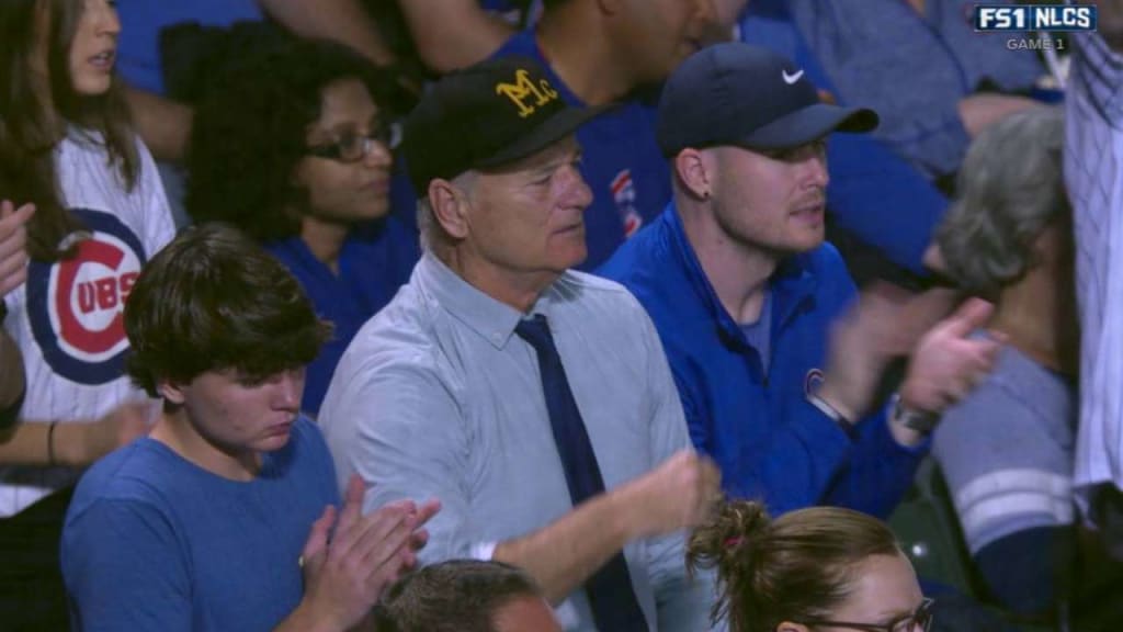 Die-hard Cubs fan sitting with Bill Murray at World Series says they  'really hit it off!